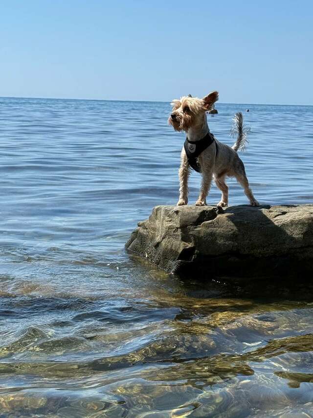 Гостиница Альбатрос Бетта-8