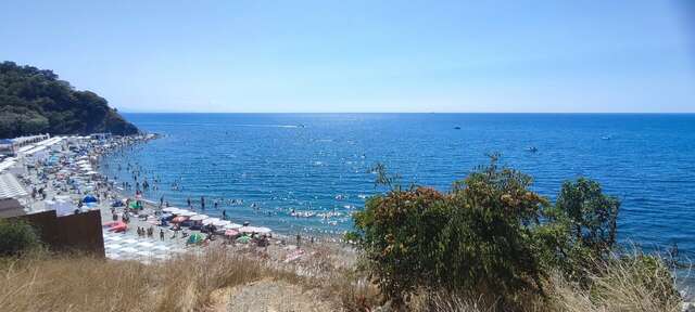 Гостиница Альбатрос Бетта-12